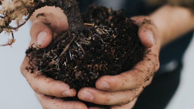 soil in a man's hand